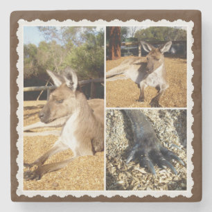 Die Kangaroo Bilderkollektion, Stone Untersetzer