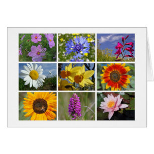 die Karte der Blume-Liebhaber