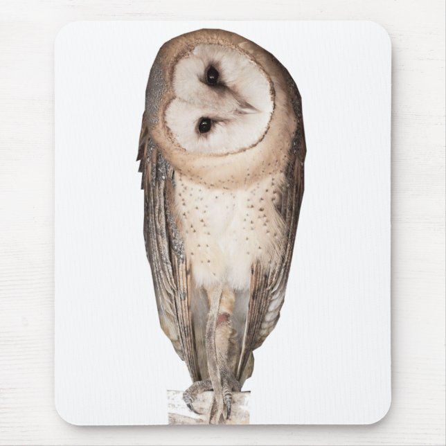 Die Karte der seltsamen Eulen. Mousepad (Vorne)