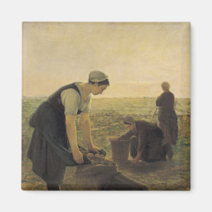 Die Kartoffel-Ernte Magnet