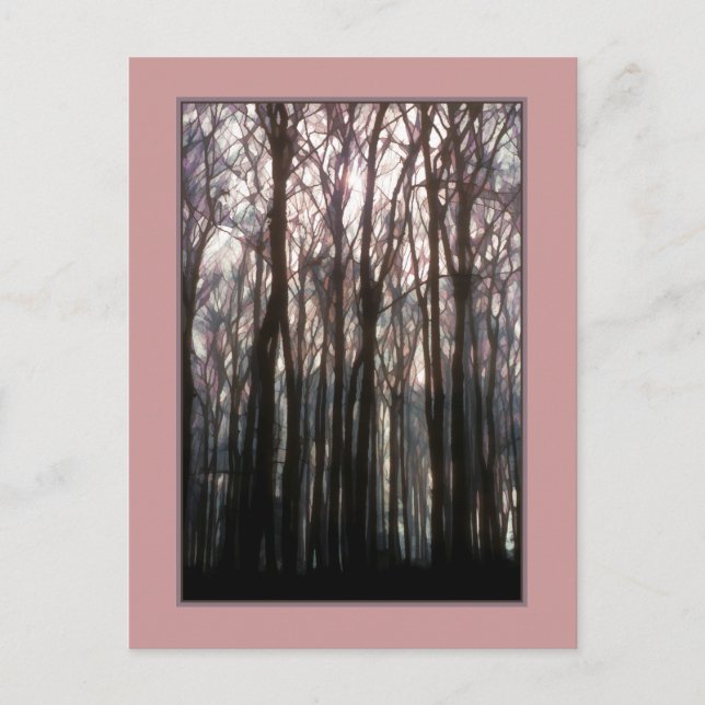 Die Kathedrale des Waldes Inspirierend Fotos Postkarte (Vorderseite)
