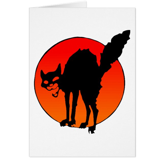 Die Katze des Syndikalisten (Vorne)