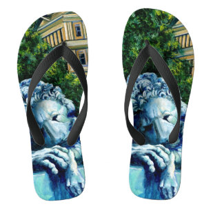 Die Katze, die die Kanarischen Inseln aß Flip Flops