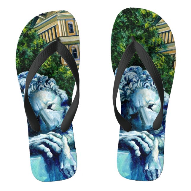 Die Katze, die die Kanarischen Inseln aß Flip Flops (Fußbett)