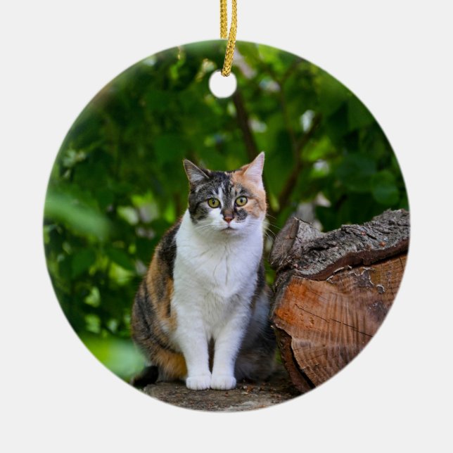 Die Katze Keramik Ornament (Vorne)