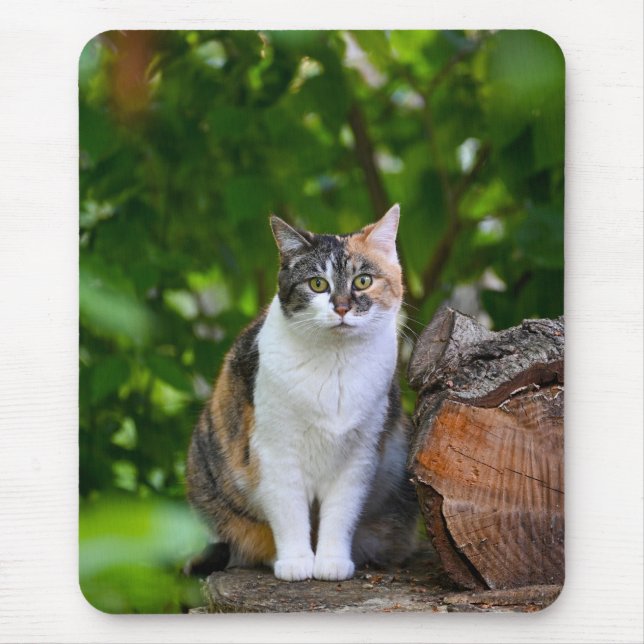 Die Katze Mousepad (Vorne)