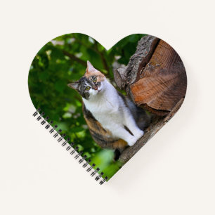 Die Katze     Notizbuch
