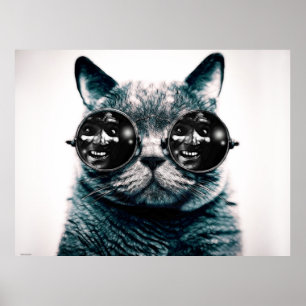 Die KATZE Poster