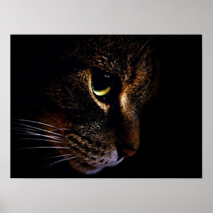 Die Katze Poster