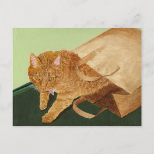 Die Katze Postkarte