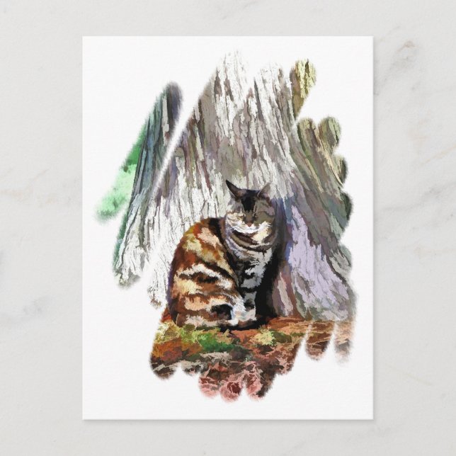 Die KATZE Postkarte (Vorderseite)