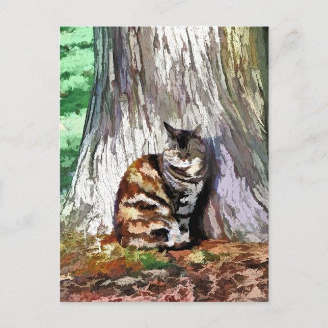 Die KATZE Postkarte (Vorderseite)