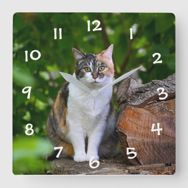 Die Katze Quadratische Wanduhr (Vorderseite)