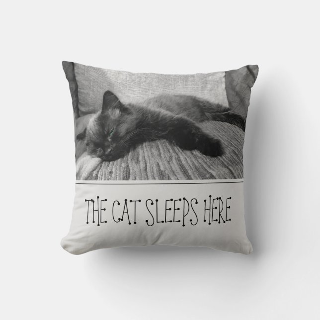 Die Katze schläft hier Kissen (Vorderseite)