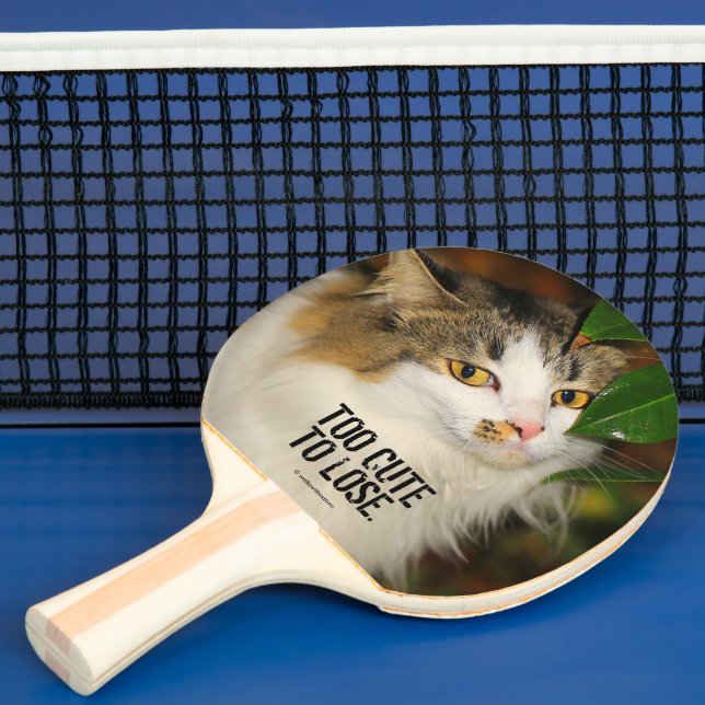 Die Katze und die Kamelie Tischtennis Schläger (InSitu)