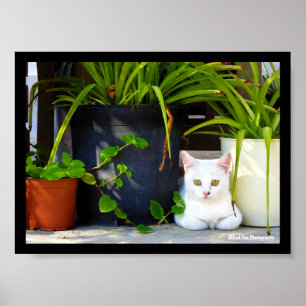 Die Katze zwischen den Pflanzen Poster