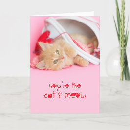 Die Katzen haben Kätzchen Valentin. Feiertagskarte