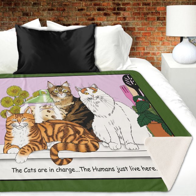 Die Katzen sind im Preis Sherpadecke (Von Creator hochgeladen)