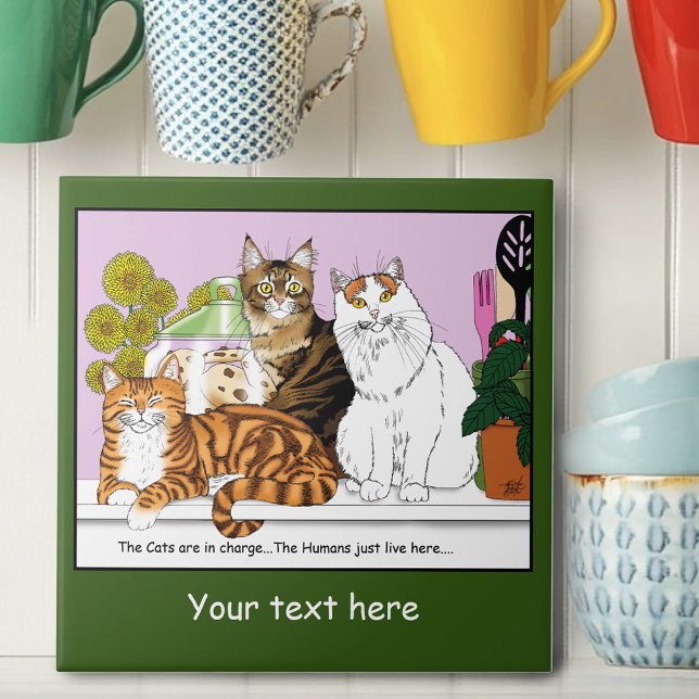 Die Katzen sind verantwortlich Fliese (Von Creator hochgeladen)