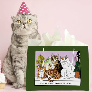 Die Katzen sind verantwortlich Große Geschenktüte
