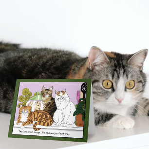 Die Katzen sind verantwortlich Karte