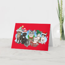 Die Katzen und die Crew Weihnachtskarte 5" x 7"