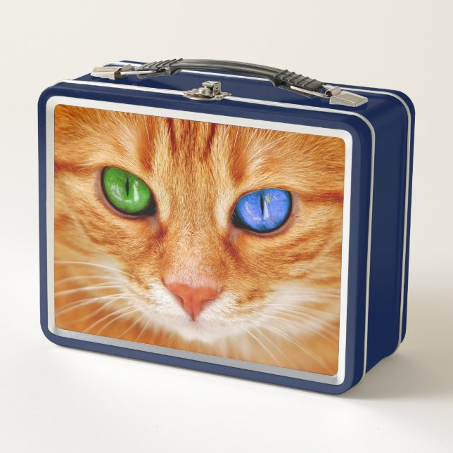 Die Katzenaugen farbiges Metall Brotdose (Vorderseite)
