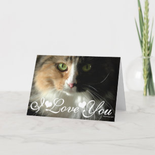 Die Katzenaugen Foto Bild Ich liebe Dich Karte