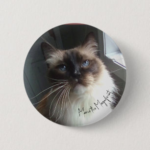 Die Katzenaugen-Schaltfläche zeigt Marco den Präch Button
