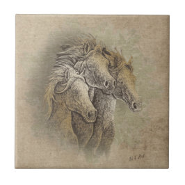 Die Keramik der Pferde Fliese