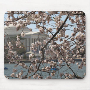 Die Kirschblüten blühen in Washington DC Mousepad