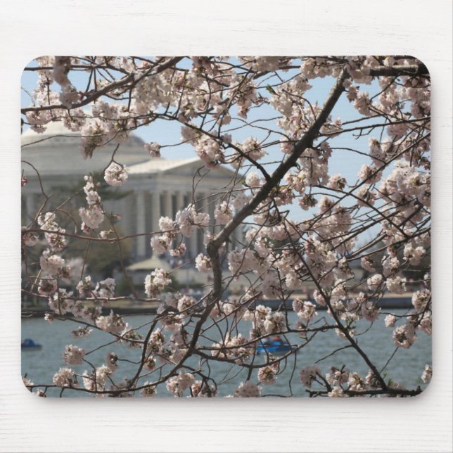 Die Kirsche blüht in Washington D.C. Mousepad (Vorne)
