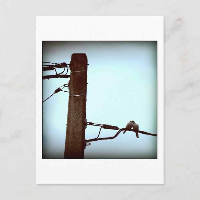 Die KISS-Postkarte Postkarte (Vorderseite)