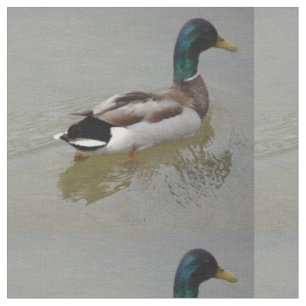 DIE KLASSISCHE STOCKENTEN-ENTE STOFF