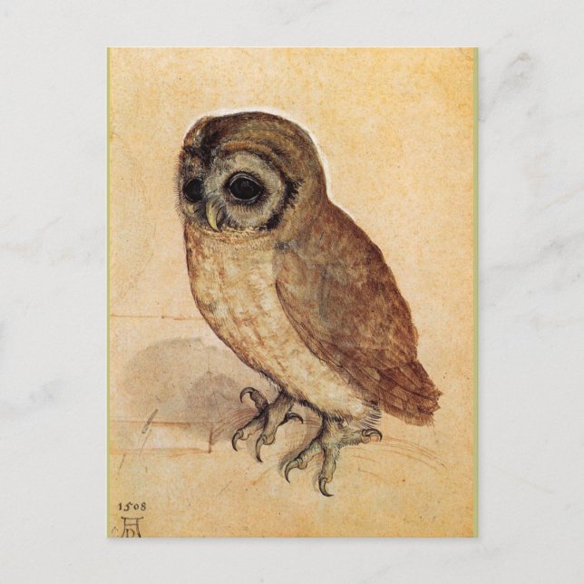 Die kleine Eule von Albrecht Durer Postkarte (Vorderseite)