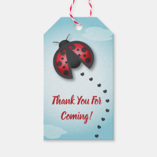 Die kleine Ladybug aus Blauer und Rotem Himmel ist Geschenkanhänger