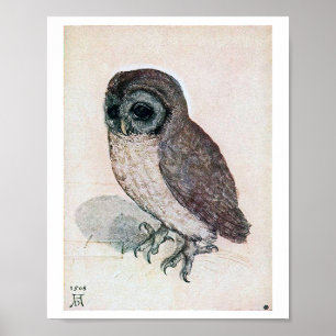 Die kleine Schüssel, Albrecht Durer Poster