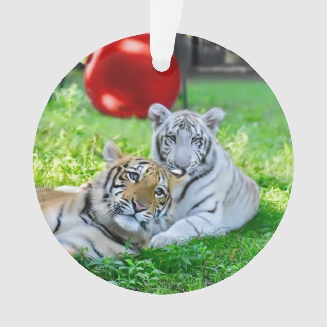 Die kleinen Jungen - Ornament (Vorderseite)