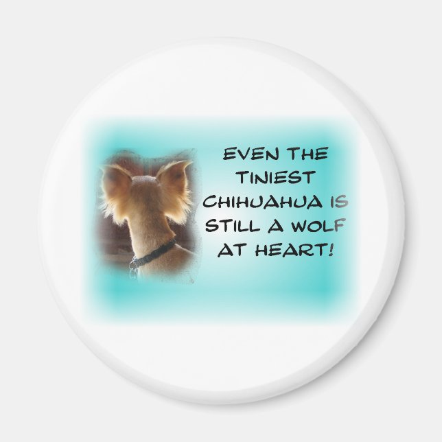 Die kleinste Chihuahua... Magnet (Vorne)