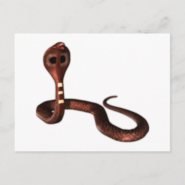 Die Kobra, tödliche Schlange Postkarte (Vorderseite)