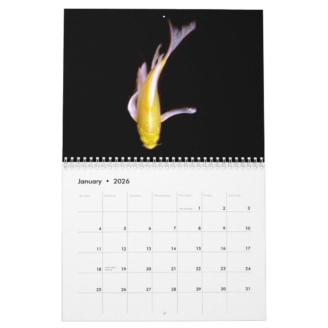 Die Koi Reihe, durch die Schwester C - besonders Kalender (Jan 2026)