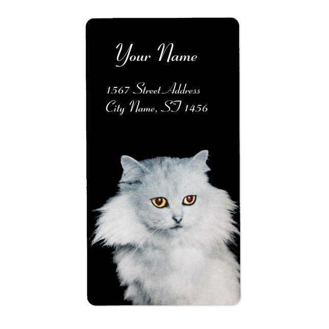 DIE KÖNIGIN DER WEISSEN KATZEN (Vorne)