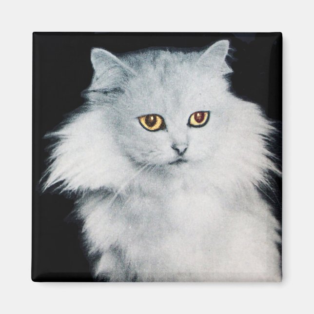 DIE KÖNIGIN DER WEISSEN KATZEN MAGNET (Vorne)