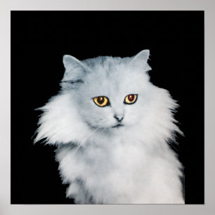 DIE KÖNIGIN DER WEISSEN KATZEN POSTER