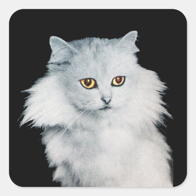 DIE KÖNIGIN DER WEISSEN KATZEN QUADRATISCHER AUFKLEBER (Vorderseite)