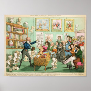 Die Köpfe und die Gehirne der Kälber; ein Poster