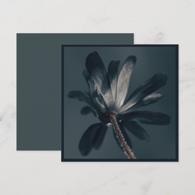 Die köstlich dunkle Blume Karte (Vorne/Hinten)