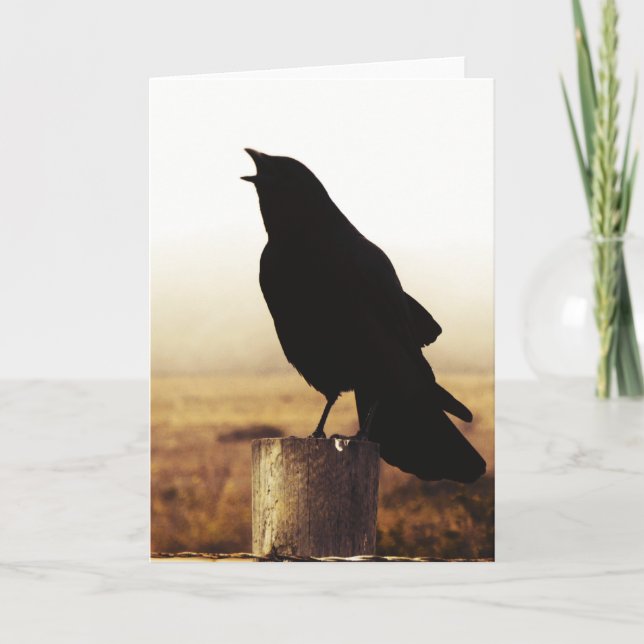 Die Krähe Karte (Vorderseite)