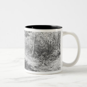 Die Krähe und der Fox Zweifarbige Tasse