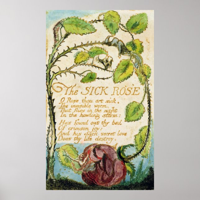 Die kranke Rose aus den Songs der Unschuldigkeit Poster (Vorne)
